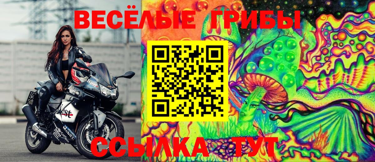 Бийск  Галлюциногенные грибы мухоморы  Галлюциногенные грибы Magic Shrooms  Вход с VPN 